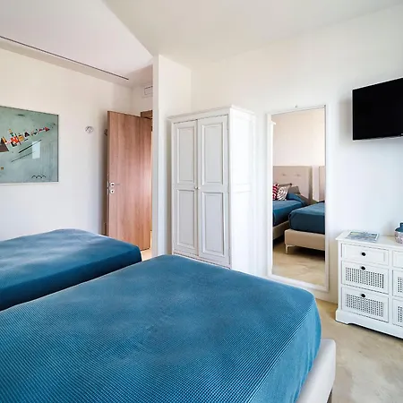 San Lorenzo - Ulivo *