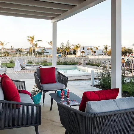 San Lorenzo - Ulivo Reitani