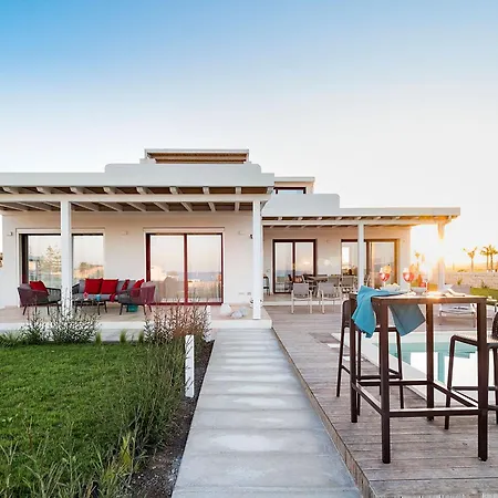 San Lorenzo - Ulivo *