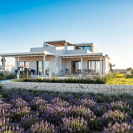 Villa San Lorenzo - Ulivo Reitani