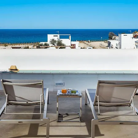 San Lorenzo - Ulivo *