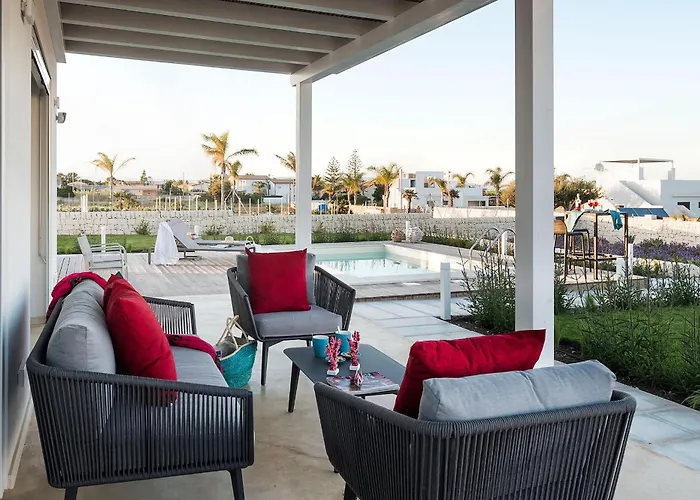 San Lorenzo - Ulivo Reitani