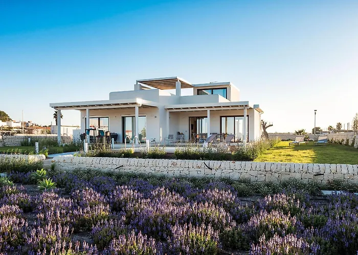 Villa San Lorenzo - Ulivo Reitani